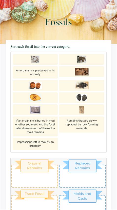 how fossils are formed interactive website|fossil record activity.